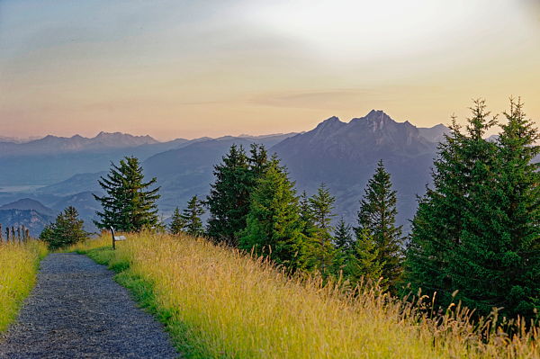 190705-210533-Rigi_Web_x600