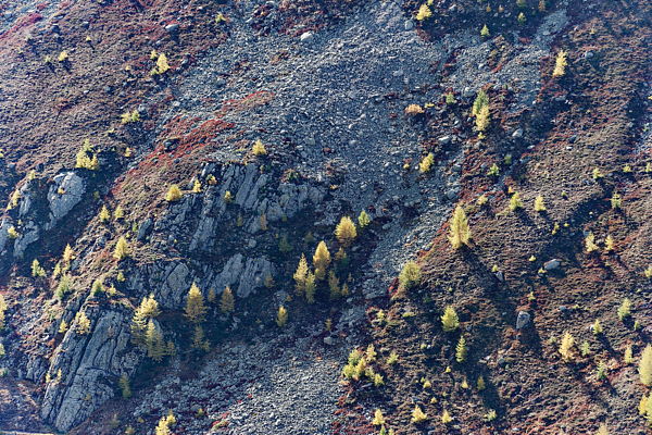 231012-113053-Sils_Web_x600