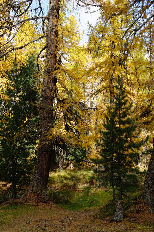 211020-141058-Sils-Maria_Web_x800