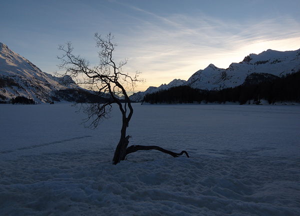 140317-175736-silsmaria_x600