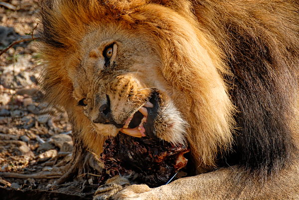 061126-082038-Namibiab_Web_x600