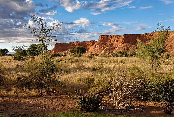 061123-064644-Namibiab_Web_x600