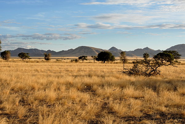 061123-064041-Namibia_Web_x600