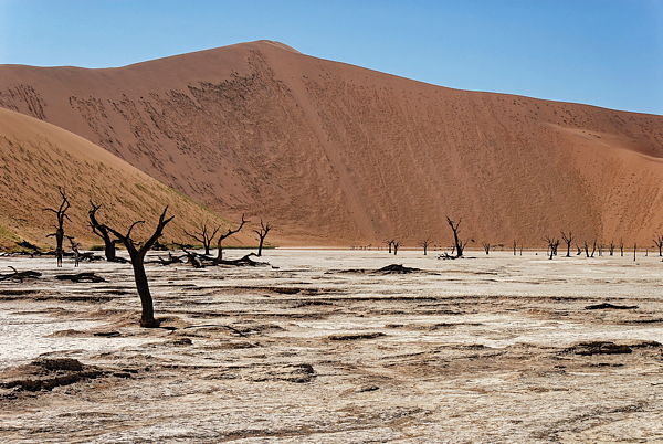 061122-091446-Namibiaa_Web_x600