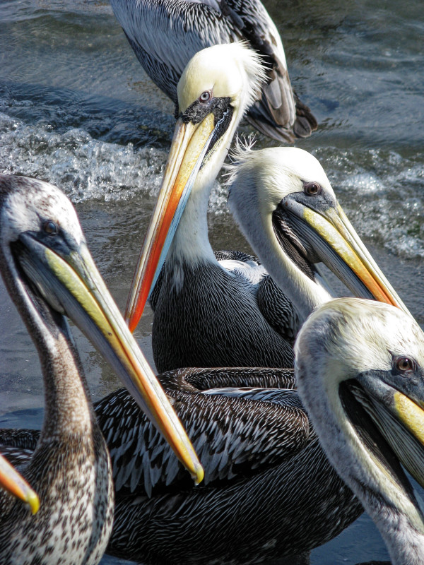080720-171049-Peru-Bolivien-Chile_DxO
